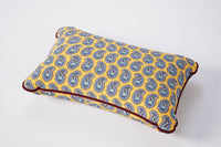 Rome Outdoor Scatter Cushions - Mid Paisley Earthy