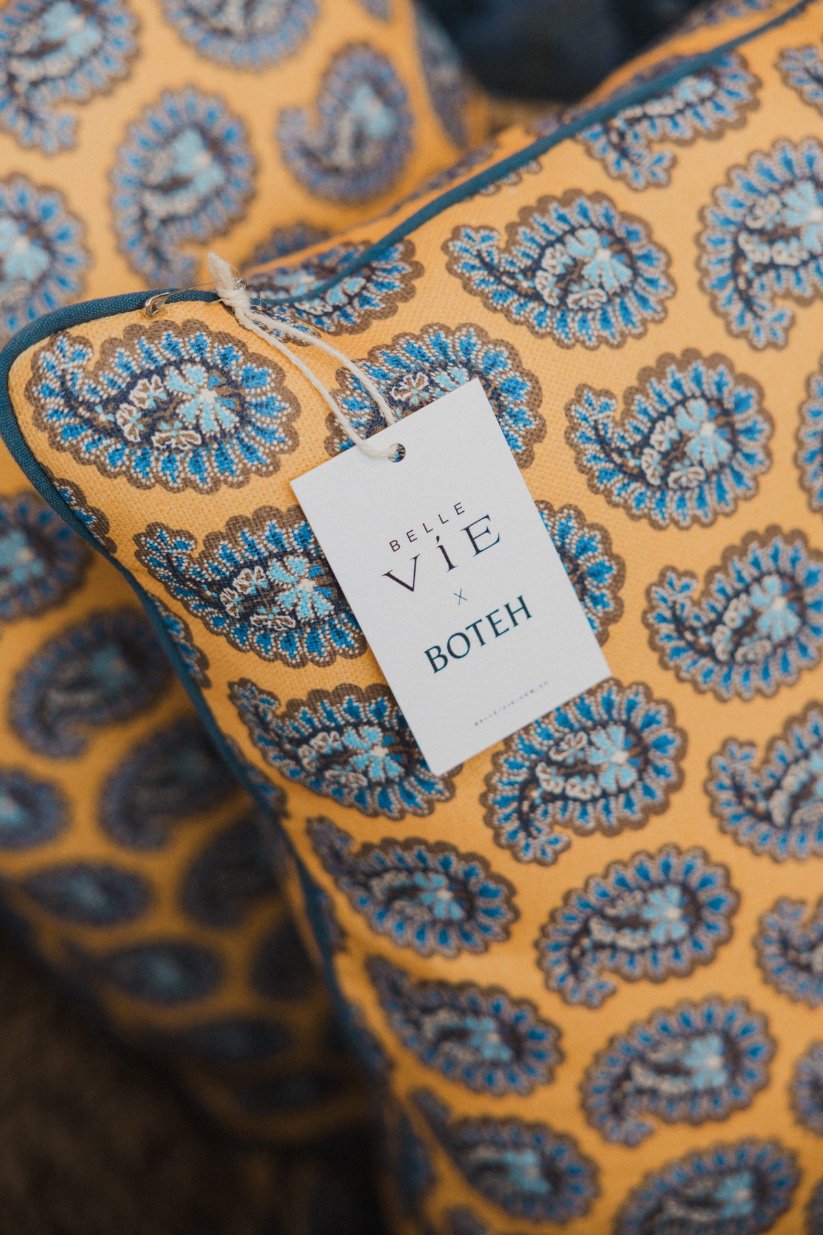 Rome Outdoor Scatter Cushions - Mid Paisley Earthy